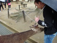 DSC00795.JPG